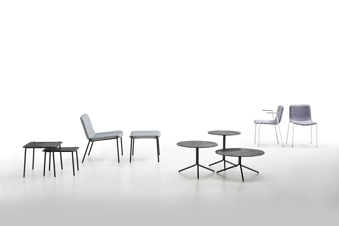 Trampoliere collection: new versions