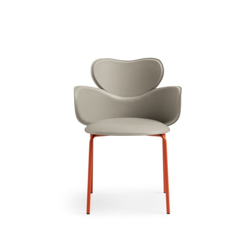 Vida s-br (2)