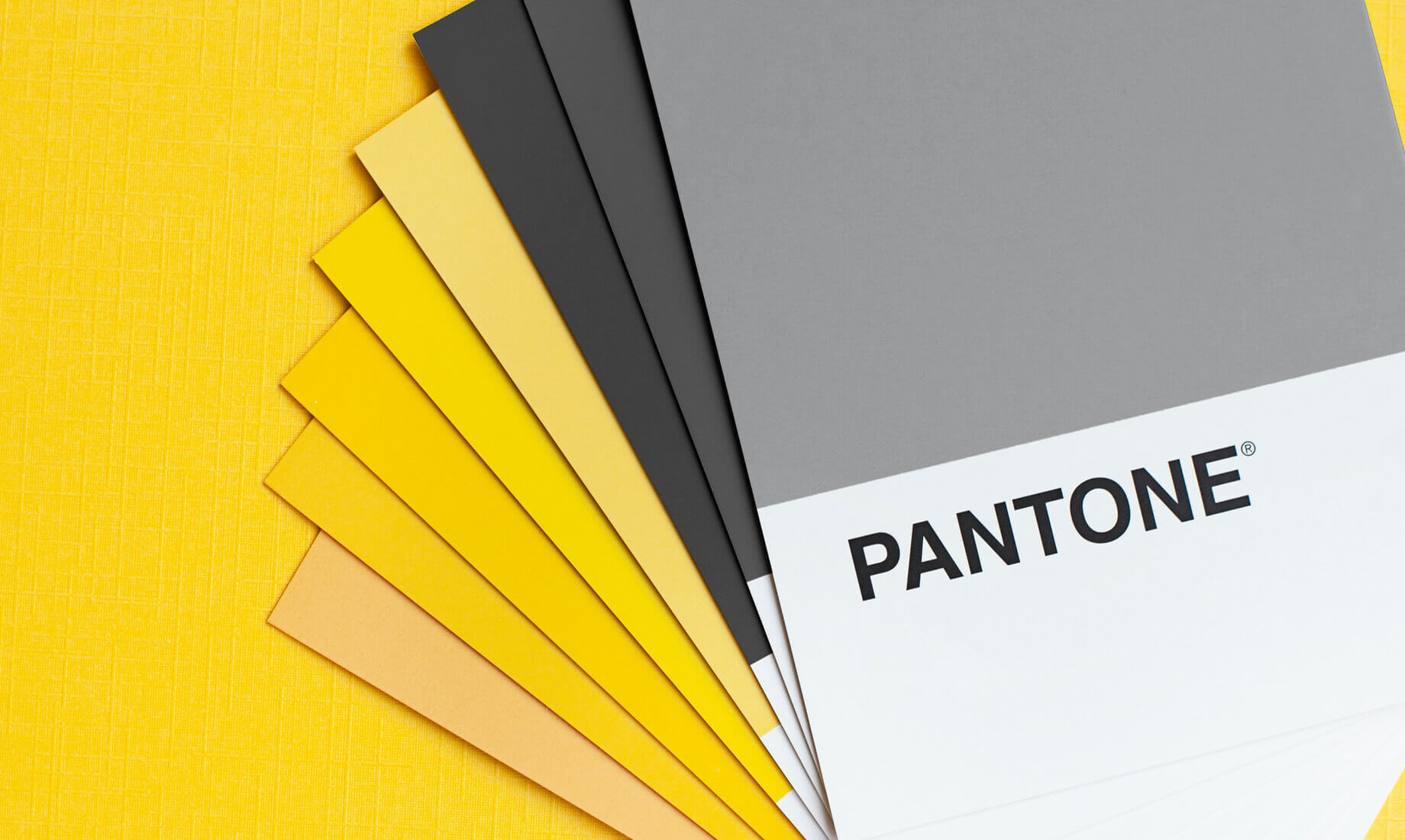 Midj - Pantone 2021