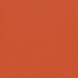 Papaya orange steel