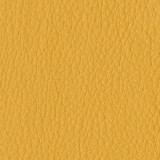 Secret faux leather