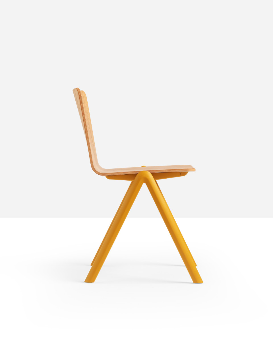 Stack stackable chair with four-legs base in polypropylene with shell in wood MIDJ