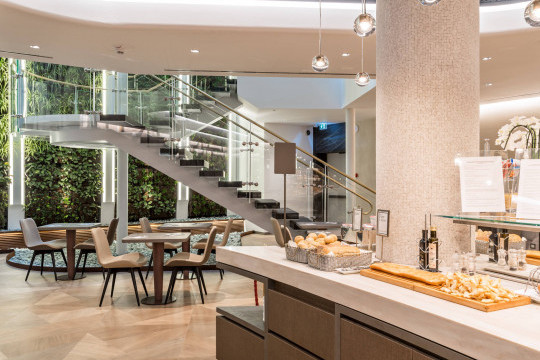 hotel firenze in la spezia with dalia chairs by midj