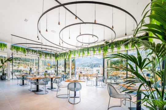 restaurant Suculenta Port de Sóller with guapa collection chairs and armchairs by midj