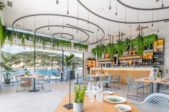 restaurant Suculenta Port de Sóller with guapa collection chairs and armchairs by midj