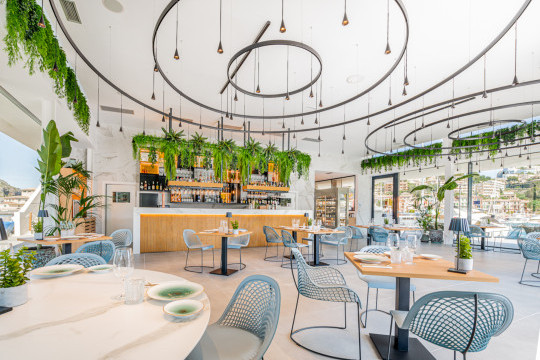 restaurant Suculenta Port de Sóller with guapa collection chairs and armchairs by midj